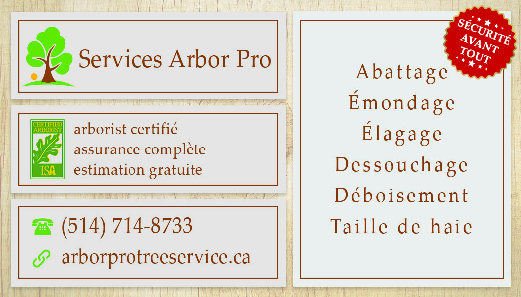 business_card_arbor_pro_fr_3_proof